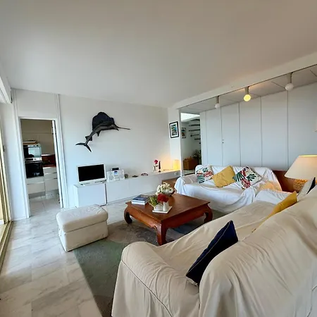 Penthouse Duplex Rooftop Eden Parc * Антіб